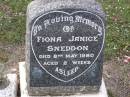 Fiona Janice SNEDDON, died 8 May 1980 aged 2 weeks; Helidon General cemetery, Gatton Shire 
