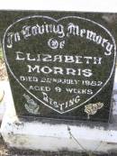 Elizabeth MORRIS,
died 22 July 1982 aged 9 weeks;
Helidon General cemetery, Gatton Shire
