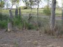 
Helidon General cemetery, Gatton Shire
