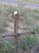 Helidon General cemetery, Gatton Shire