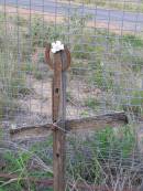 
Helidon General cemetery, Gatton Shire
