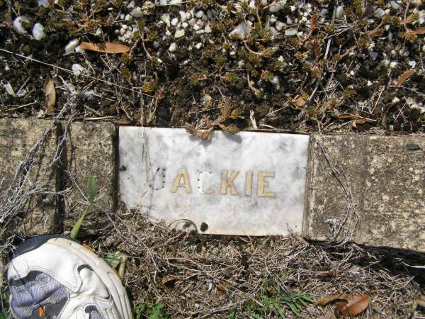 John R. (Jackie) CONLEY,  | died 21 May 1910 aged 3 years;  | Helidon General cemetery, Gatton Shire  | 