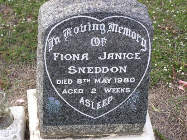 Fiona Janice SNEDDON,  | died 8 May 1980 aged 2 weeks;  | Helidon General cemetery, Gatton Shire  | 