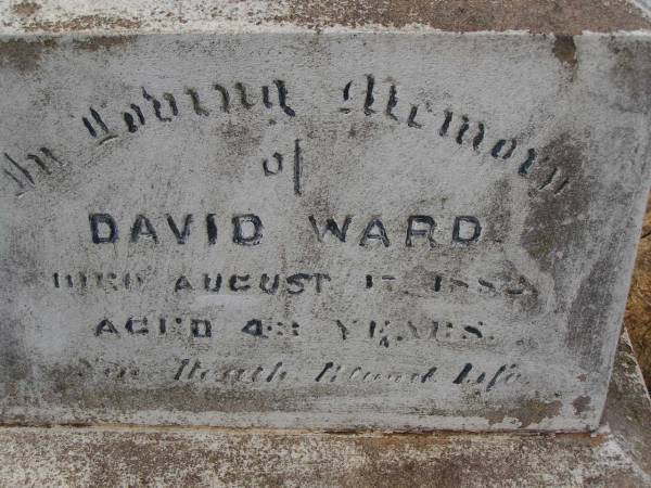 Charlotte Mary HULL,  | died 3 Aug 1907 aged 27 years;  | Charlotte Williams,  | died 9 July 1911 aged 67? years;  | Arthur Harris WARD,  | died 16 Oct 1896 aged 21 years;  | David WARD,  | died 17 Aug 1882 aged 43 years;  | Highfields Baptist cemetery, Crows Nest Shire  |   | 