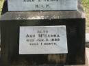 
Ann MCKENNA,
died 25 July 1896 aged 42 years;
Margaret MCKENNA,
died 4 April 1895 aged 2 years;
Ann MCKENNA,
died 3 Jan 1888 aged 1 month;
Howard cemetery, City of Hervey Bay
