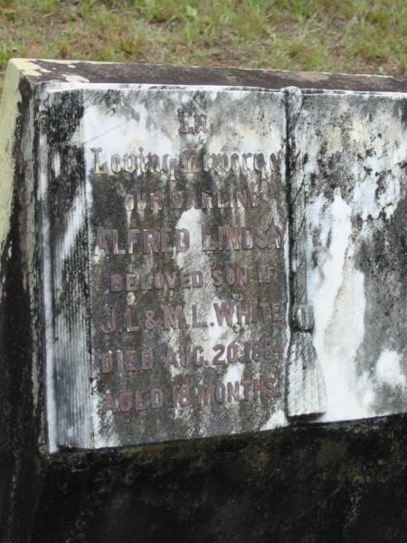 Alfred Lindsay,  | son of J.L. & M.L. WHITE,  | died 20 Aug 1884 aged 18 months;  | Howard cemetery, City of Hervey Bay  | 