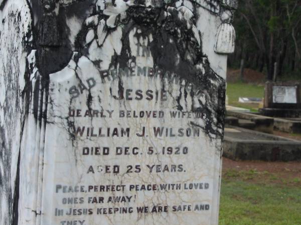 Jessie,  | wife of William J. WILSON,  | died 5 Dec 1920 aged 24 years;  | Janet,  | wife of James WILSON,  | mother of W.J., E.A. & C.J. WILSON,  | died 25 March 1926 aged 52 years;  | James WILSON,  | died 9 June 1928 aged 57 years;  | Howard cemetery, City of Hervey Bay  | 