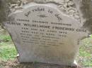 Therese Wilhelmine Friderike GUSE geb 23 Apr 1873, gest 12 Marz 1902 Hoya Lutheran Cemetery, Boonah Shire  