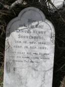 
Samuel Henry SONNENBURG
geb 12 Nov 1895, gest 16 Sep 1897
Hoya Lutheran Cemetery, Boonah Shire

