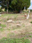 
Hoya Lutheran Cemetery, Boonah Shire

