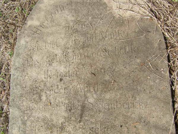 ?gebeble Callmand MULLER  | (beloved wife and mother)  | Ca  |    mpuerehelichte  | geb Heinpuoichelichle  | Herman Menge  |          Apr  1862  | ges      Sept 1882  |   | Hoya Lutheran Cemetery, Boonah Shire  |   | 