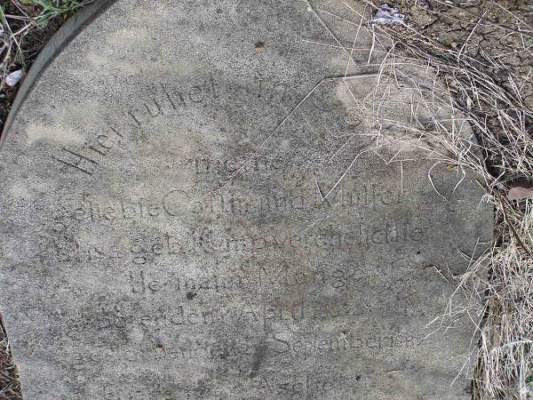 ?gebeble Callmand MULLER  | (beloved wife and mother)  | Ca  |    mpuerehelichte  | geb Heinpuoichelichle  | Herman Menge  |          Apr  1862  | ges      Sept 1882  |   | Hoya Lutheran Cemetery, Boonah Shire  |   | 