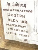 
Joseph SLESSAR,
father,
died 5 Sept 1956 aged 82 years;
Beatrice Annie SLESSAR,
mother,
died 17 March 1922 aged 41 years;
Jandowae Cemetery, Wambo Shire
