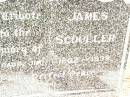 
James SCOULLER,
daddy Jim,
1902 - 1939;
Jandowae Cemetery, Wambo Shire
