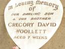 Gregory David WOOLLETT,
son brother,
aged 7 weeks;
Jandowae Cemetery, Wambo Shire