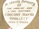 
Gregory David WOOLLETT,
son brother,
aged 7 weeks;
Jandowae Cemetery, Wambo Shire
