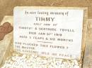 
Timmy,
only son of Timothy & Gertrude TOVELL,
died 31 Jan 1919 aged 3 years 6 months;
Jandowae Cemetery, Wambo Shire
