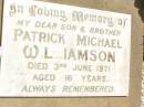 Patrick Michael WILLIAMSON,
son brother,
died 3 June 1971 aged 16 years;
Jandowae Cemetery, Wambo Shire