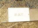Herbert Ray SMITH,
borhter,
died 18 Feb 1960 aged 38 years;
Jandowae Cemetery, Wambo Shire