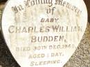 
Charles William BUDDEN,
baby,
died 30 Dec 1948 aged 1 day;
Jandowae Cemetery, Wambo Shire
