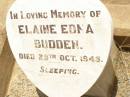 
Elaine Edna BUDDEN,
died 29 Oct 1945;
Jandowae Cemetery, Wambo Shire
