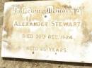 
Alexander STEWART,
died 30 Dec 1924 aged 85 years;
Jandowae Cemetery, Wambo Shire
