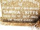 
J.W. HOSKIN,
died 20 April 1946 aged 32 years;
Sandra KITTS,
wife mother,
died 27 Oct 1965;
Jandowae Cemetery, Wambo Shire
