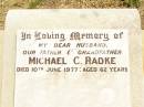Michael C. RADKE,
husband father grandfather,
died 10 June 1977 aged 62 years;
Jandowae Cemetery, Wambo Shire