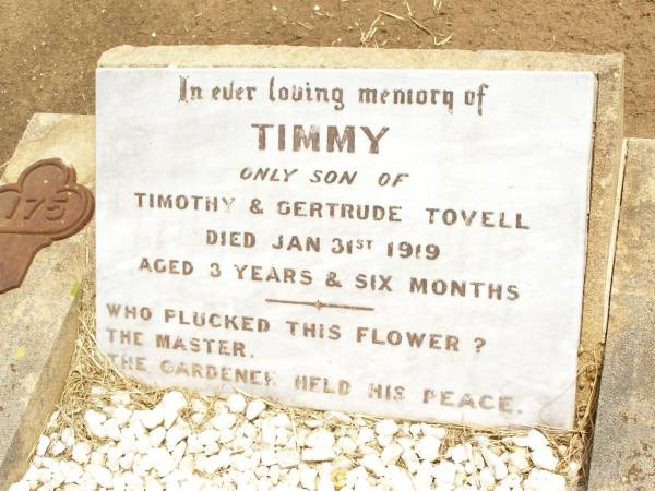 Timmy,  | only son of Timothy & Gertrude TOVELL,  | died 31 Jan 1919 aged 3 years 6 months;  | Jandowae Cemetery, Wambo Shire  | 