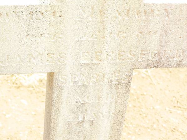 James Beresford SPARKES  | son,  | aged 3 days;  | Jandowae Cemetery, Wambo Shire  | 