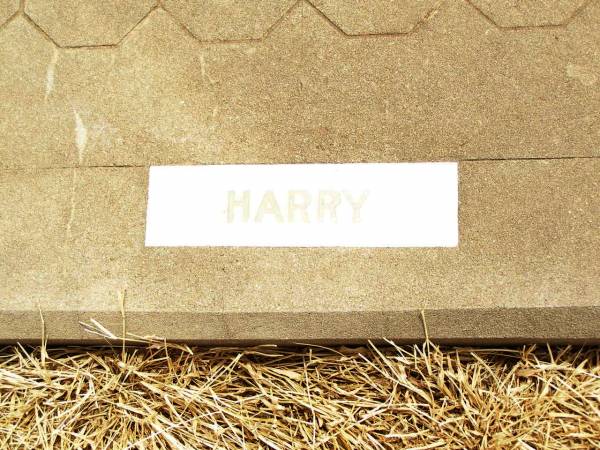 Hermann (Harry) August NAUSCHULTZ,  | died 24 Nov 1977 aged 78 years;  | Jandowae Cemetery, Wambo Shire  | 