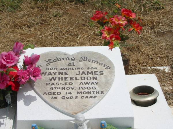 Wayne James WHEELDON,  | son,  | died 4 Nov 1966 aged 14 months;  | Jandowae Cemetery, Wambo Shire  | 