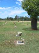 
Jandowae Cemetery, Wambo Shire
