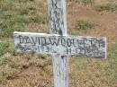 
David WOOLLETT,
3-11-1936 - 11-12-1992;
Jandowae Cemetery, Wambo Shire
