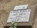 
Judith Annette DAWES,
wife,
died 2 April 1971 aged 19 years;
Jandowae Cemetery, Wambo Shire
