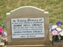 Bonnie Bell GREALY,
wife mother grandmother,
died 3 Aug 1974 aged 72 years;
James Patrick GREALY,
father grandfather,
died 26 Jan 2000 aged 98 years;
Jandowae Cemetery, Wambo Shire