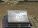 Royce Edward SPERLING,
son brother,
accidentally killed 15-9-1968 aged 19 years;
Jandowae Cemetery, Wambo Shire