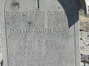 Bridget Mary CLOHESSY, mother, wife of David CLOHESSY, died 16 Dec 1906 aged 33 years; Annie CLOHESSY, daughter, died 4 March 1895 aged 3 years; Jondaryan cemetery, Jondaryan Shire 