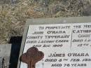 
John OMARA,
County Tipperary,
died Lagoon Creek 2 Aug 1900;
Catherine OMARA,
County Cork,
died Lagoon Creek 12 Aug 1912;
James OMARA,
died 8 Feb 1957 aged 78 years;
Patrick John OMARA,
died 1 Aug 1964 aged 82 years;
Jondaryan cemetery, Jondaryan Shire
