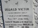 
Dugald Victor,
son of Dugald & Louisa CONNELL,
died 15 June 1915 aged 17 years 10 months;
Dugald,
father,
died 30 Jan 1931 aged 65 years 3 months;
Louisa,
wife,
mother of Dugald Victor,
died 16 Feb 1960 aged 89 years 6 months;
Jondaryan cemetery, Jondaryan Shire
