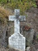 
Emilie WEBER
21 Aug 1899, aged 8
Engelsburg Baptist Cemetery, Kalbar, Boonah Shire
