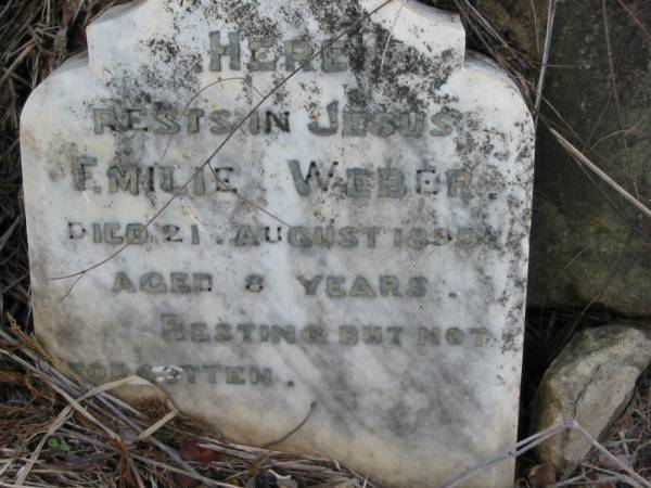 Emilie WEBER  | 21 Aug 1899, aged 8  | Engelsburg Baptist Cemetery, Kalbar, Boonah Shire  | 