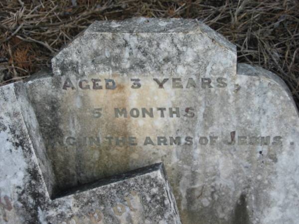 Benjamin SCHOSSOW  | 27 Mar 1900, aged 3 years 5 months  | Engelsburg Baptist Cemetery, Kalbar, Boonah Shire  | 