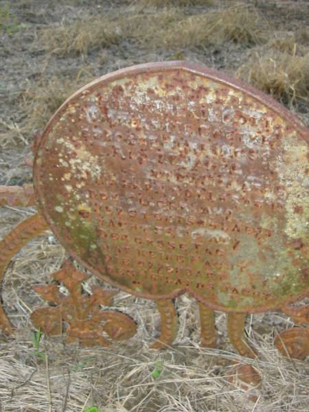 Wilhelmine GOETKE (geb HENNINGS)  | aged 77 years, 7 months  | Engelsburg Baptist Cemetery, Kalbar, Boonah Shire  | 