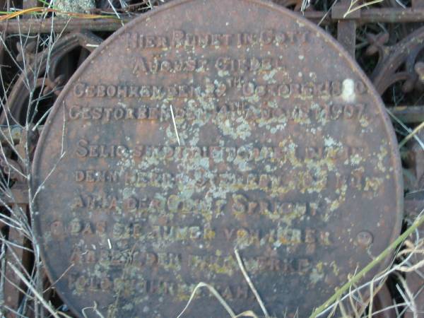 August GIEBEL  | b: 29 Oct 1830, d: 14 Aug 1907  | Engelsburg Baptist Cemetery, Kalbar, Boonah Shire  | 