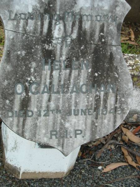 Helen O'CALLAGHAN  | 12 Jun 1949  | Kalbar Catholic Cemetery, Boonah Shire  | 