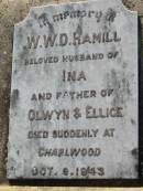 
W.W.D. HAMILL, husband of Ina,
father of Olwyn & Ellice,
died suddenly at Charlwood 9 Oct 1943;
Kalbar General Cemetery, Boonah Shire
