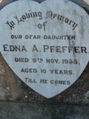 
Edna A. PFEFFER, daughter,
died 9 Nov 1938 aged 10 years;
Kalbar General Cemetery, Boonah Shire
