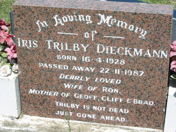 Iris Trilby DIECKMANN,  | born 16-4-1928 died 22-11-1987,  | wife of Ron,  | mother of Geoff, Cliff & Brad;  | Kalbar General Cemetery, Boonah Shire  | 