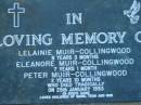 Lelainie MUIR-COLLINGWOOD
8 years 3 months
Eleanore MUIR-COLLINGWOOD
7 years 1 month
Peter MUIR-COLLINGWOOD
2 years 10 months
died tragically 25 Jan 1993
(children of Mark, Tess and Bob)
St Johns Lutheran Church Cemetery, Kalbar, Boonah Shire
